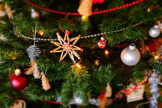 Concours du sapin de Noël.